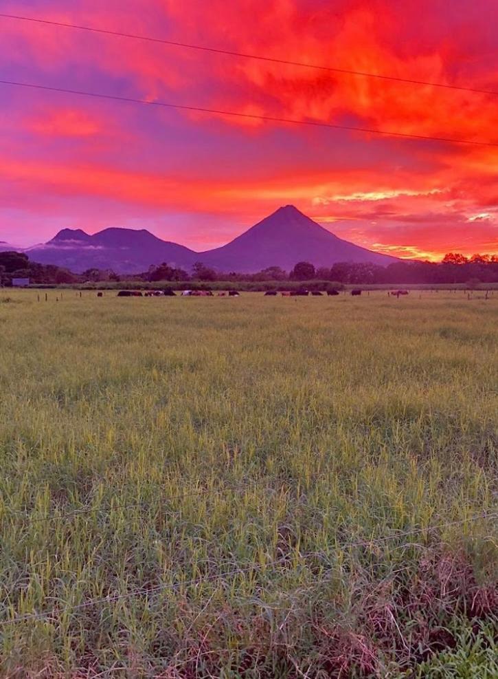 Befox Adventure Hotell La Fortuna Eksteriør bilde