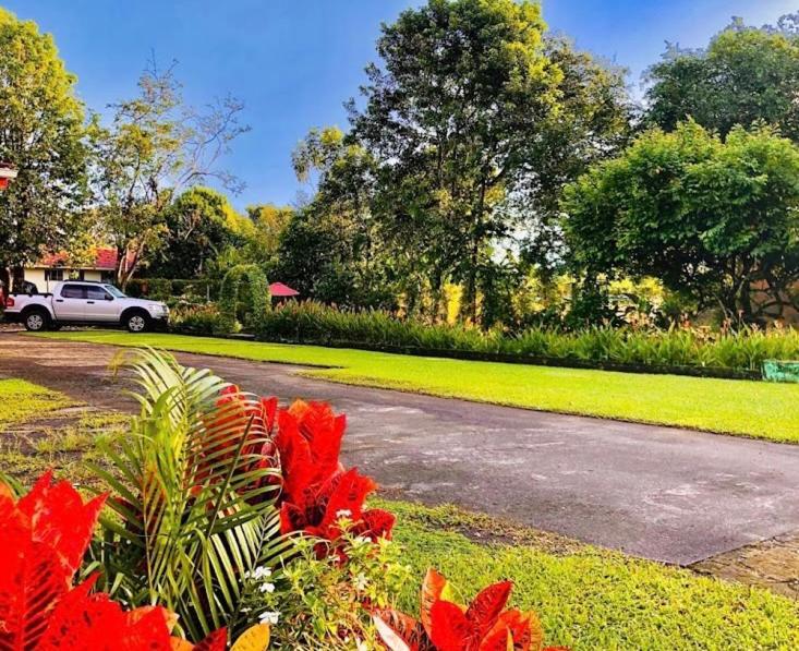 Befox Adventure Hotell La Fortuna Eksteriør bilde
