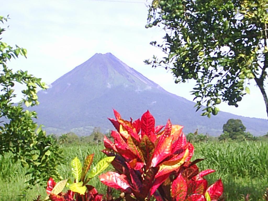 Befox Adventure Hotell La Fortuna Eksteriør bilde