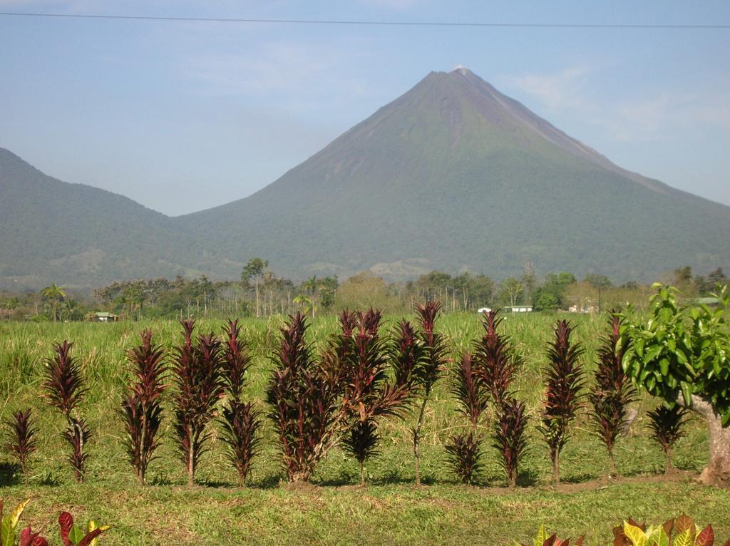 Befox Adventure Hotell La Fortuna Eksteriør bilde